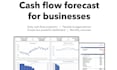 create a cash flow tracker, debt payoff planner, balance sheet, income statement