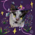 draw your pet whimsically