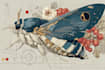 paint scientific animal illustrations