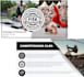 create pro powerpoint and canva presentations plus marketing relecture in 1 day
