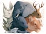 draw animals cartoon illustration