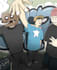 create custom cartoon illustrations for posters and card