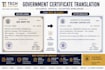 translate government documents professionally