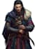 fantasy character and dnd character