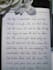 write your text in beautiful and elegant handwriting