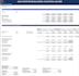 build a professional financial model in excel