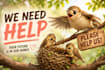 design eye catching youtube thumbnails that boost CTR
