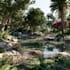 design landscape, backyard, frontyard, garden, patio