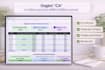 create professional automated excel financial dashboards and reports