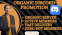 promote discord server, minecraft game, rust server, fivem, dayz promotion