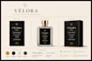 design luxury perfume packaging