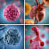 draw medical and science illustrations