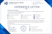 professional experience letter template