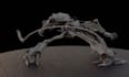 do 3d character animation, modelling, rigging, rendering in blender and maya