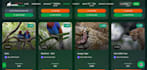 develop a wildlife safari booking and management system