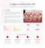 design and develop an education website