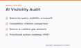 audit your ai visibility on chatgpt gemini and perplexity