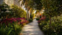 create stunning landscape and outdoor space designs