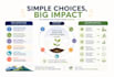 design a clean, modern infographic that simplifies your data