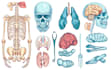 do medical and scientific illustrations