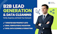 do professional b2b lead generation and excel data cleaning