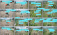build yolo object detection and computer vision applications