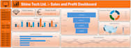 create professional microsoft excel dashboards