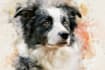 draw your pet in watercolor