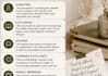 beta read your manuscript with detailed feedback