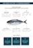 design a professional business brochure