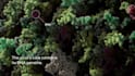 create 3d virus animation, virus structure, and viral infection mechanism video