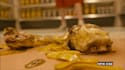 do vfx compositing, horro vfx, blood effect visual effect fire effect film edit