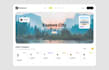 create professional saas web app dashboard UI design