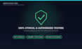 perform web application penetration testing