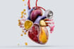 draw detailed medical illustrations