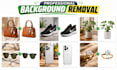 do professional background removal and transparent png