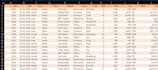 clean, format, organize and fix your microsoft excel data