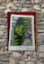 draw realistic hand drawn portrait and send high quality PDF