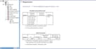 do statistical data analysis and interpretation