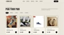 design a professional custom built website