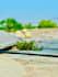 do professional portrait and photo editing