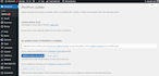 your wordpress website manager, VA and maintenance expert