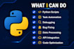write python scripts and fix bugs