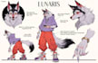 create a custom furry and fursona reference sheet