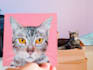 hand paint your pet