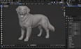 create realistic 3d pet animal sculpt creature model for 3d printing and games