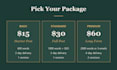 write SEO blog posts and newsletter email copy for your brand
