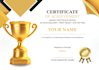 design professional certificate award appreciation certificate in 24h
