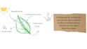 design high retention canva presentations and carousels