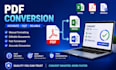 do accurate excel data entry and PDF conversion
